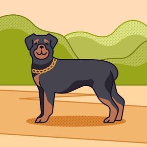 Meet your Posher, Cooper